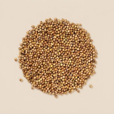 Коріандр зерно насипом Коріандр зерно насипом — крафтові спеції Spice Guild