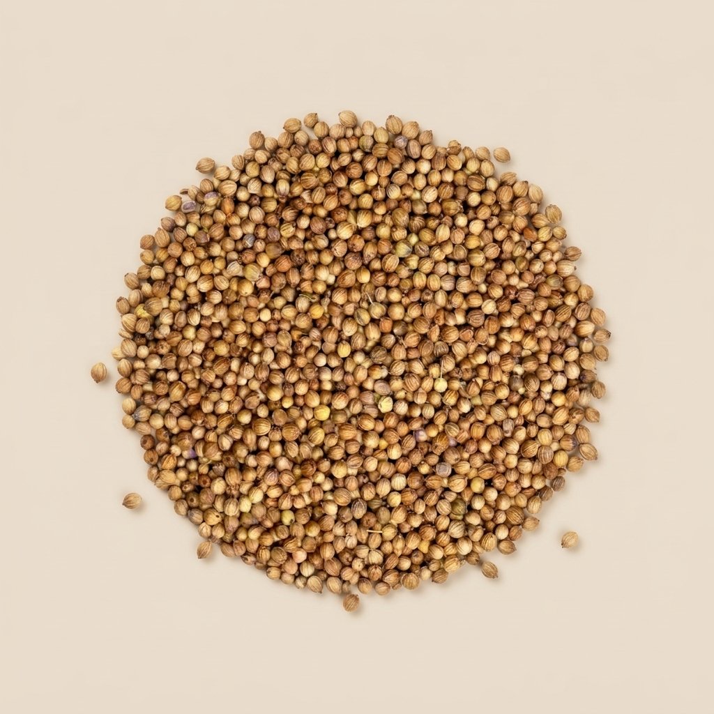 Коріандр зерно насипом — крафтові спеції Spice Guild
